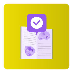 Cuadernillo Estrategias de Lectoescritura en Acción